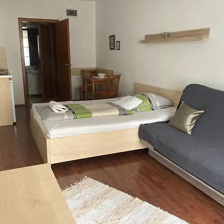 Apartment Studion1 Hajduszoboszlo